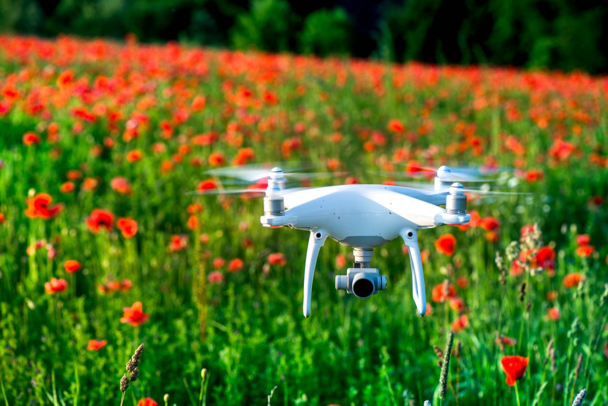 BioBot Guard, l’eccellenza dell’IoT italiano di Blueit che vince nel mondo